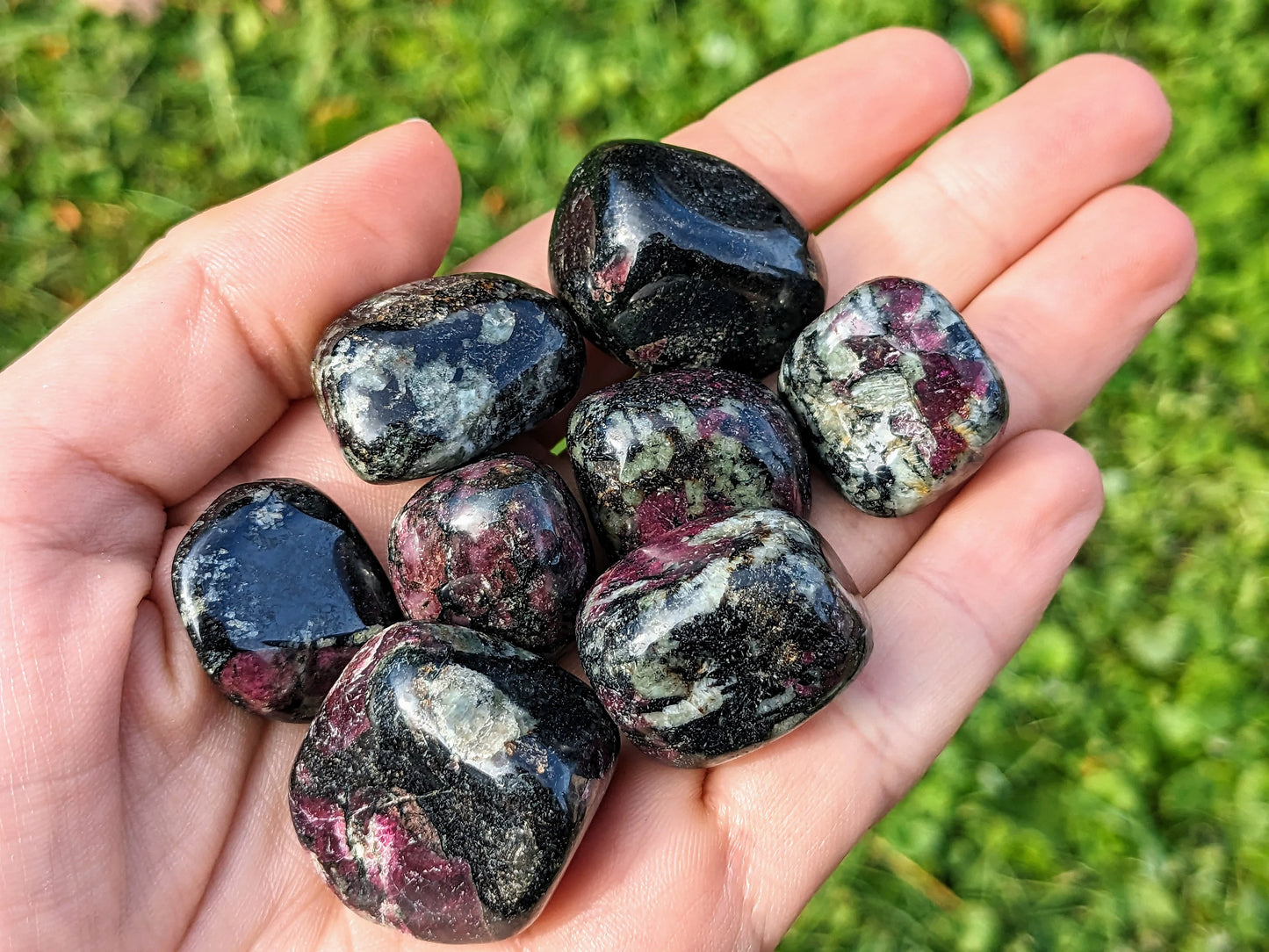 Rare Eudialyte Tumbled Stones