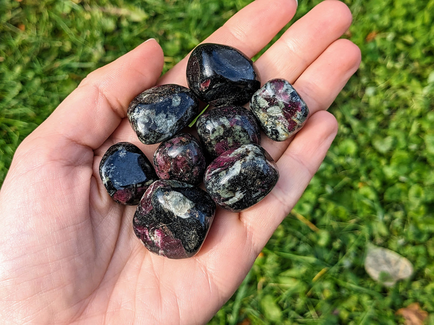 Rare Eudialyte Tumbled Stones
