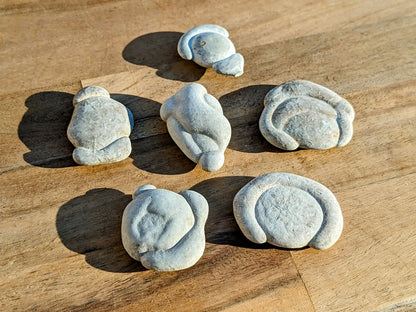 Fairy Stones