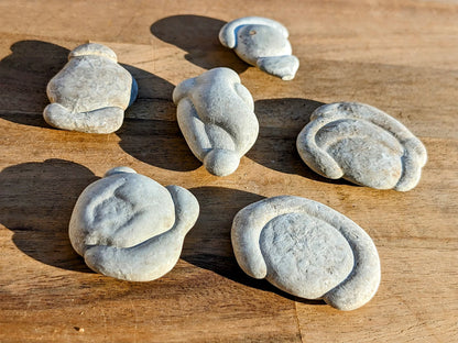 Fairy Stones