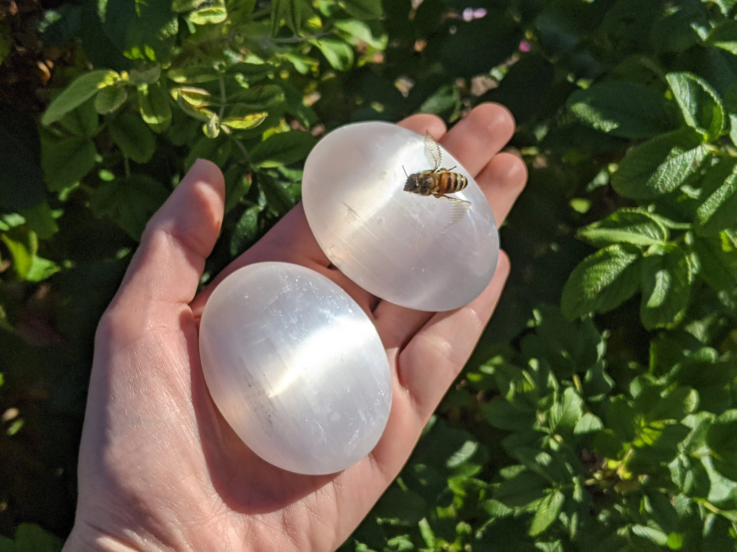 Selenite Palm Stones