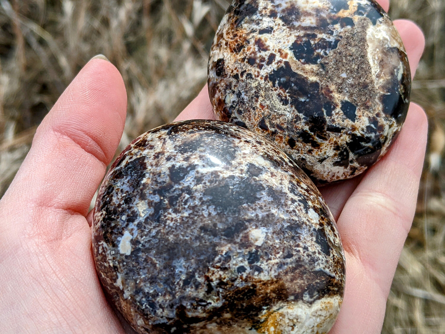 XL Black Opal Palm Stones