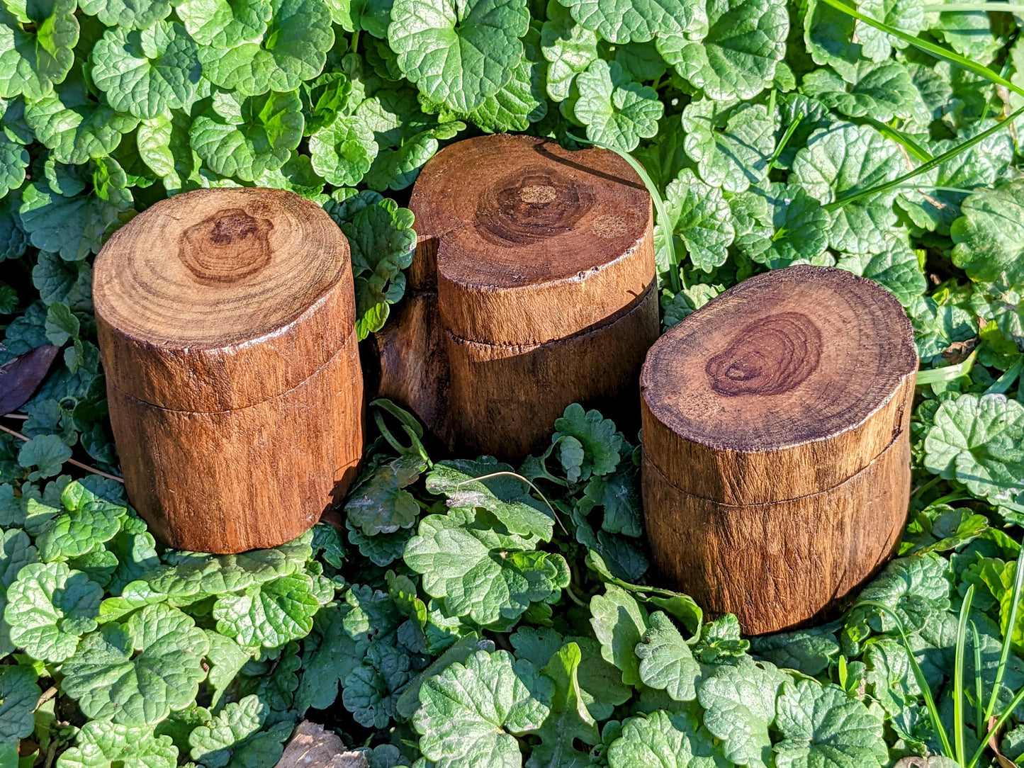 Teak Wood Tree Trunk Box