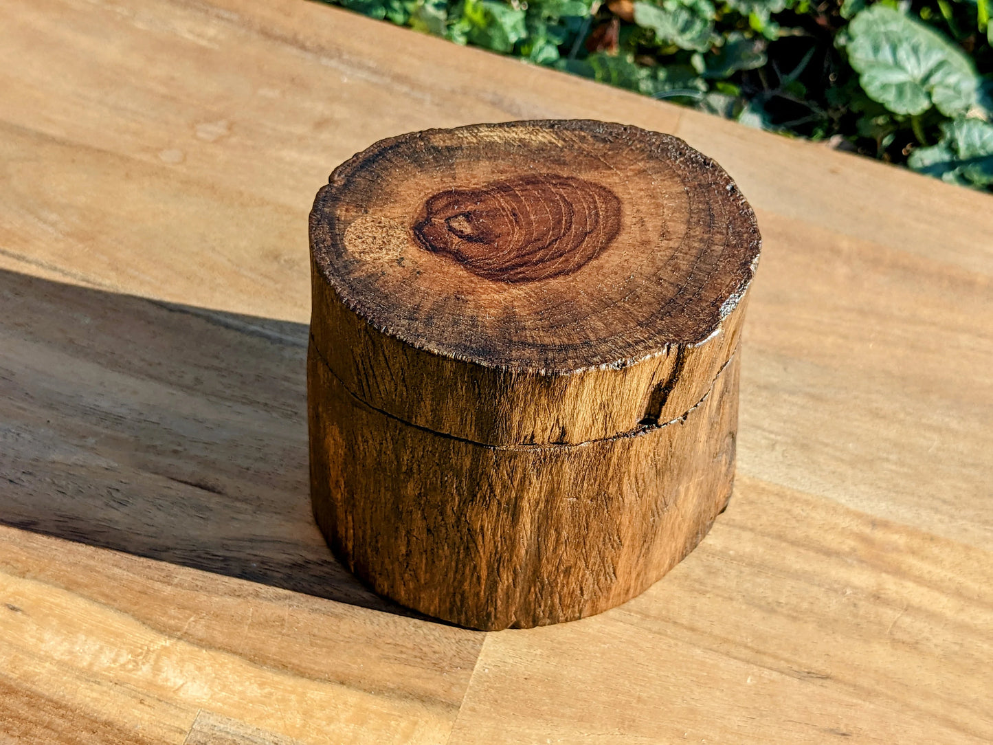 Teak Wood Tree Trunk Box