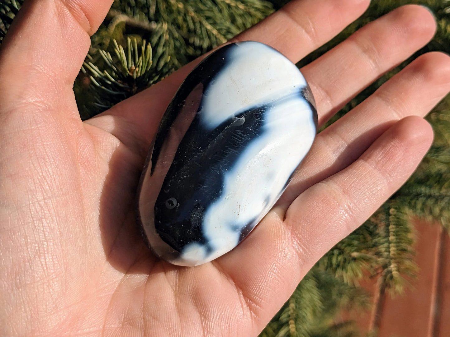 Orca Agate Palm Stones