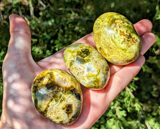 High Grade Green Opal Palm Stones