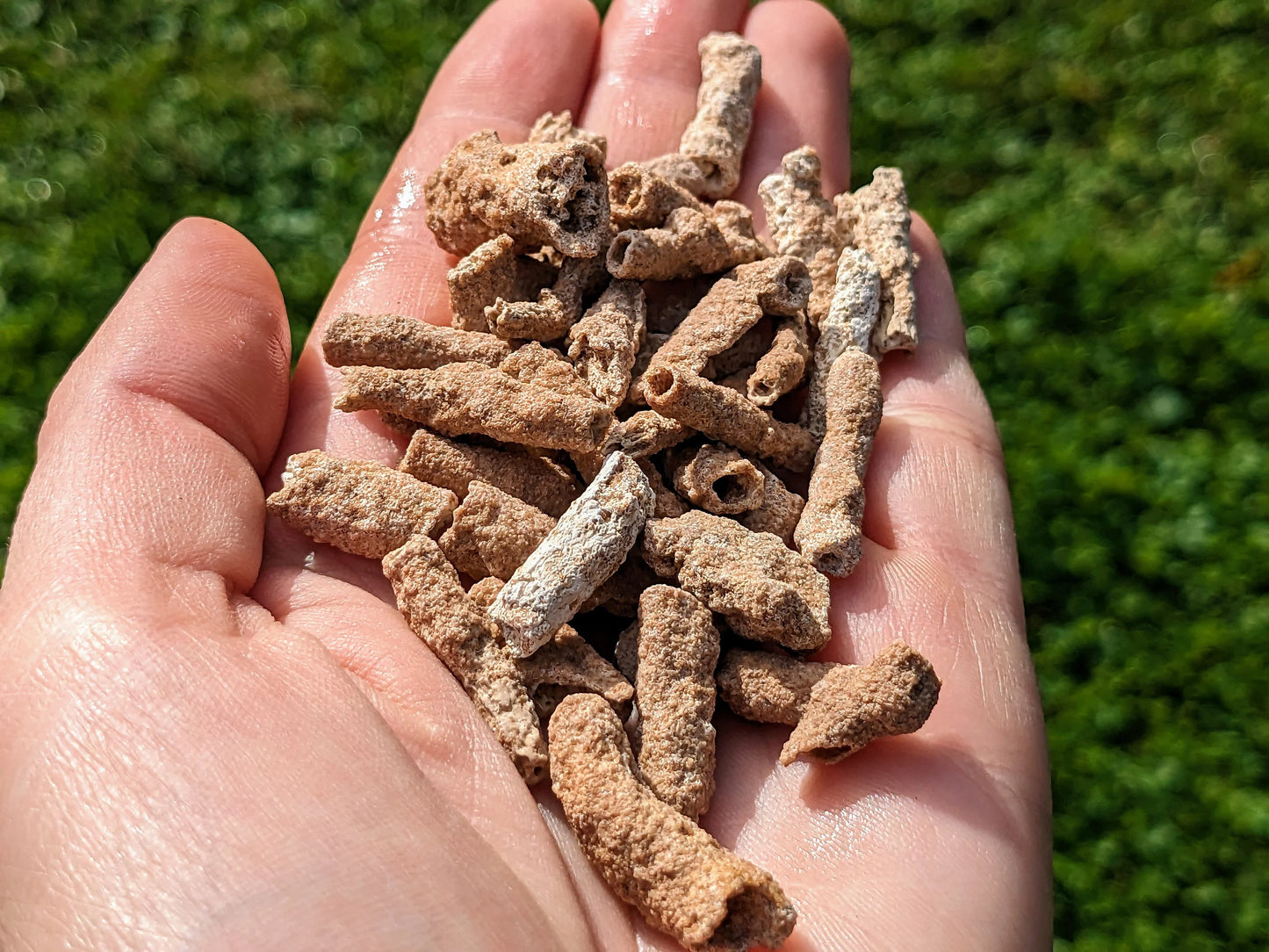 Rare Petrified Lightning - Fulgurite Specimens