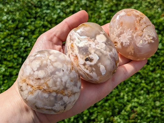 XL Flower Agate Palm Stones