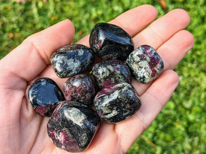 Rare Eudialyte Tumbled Stones
