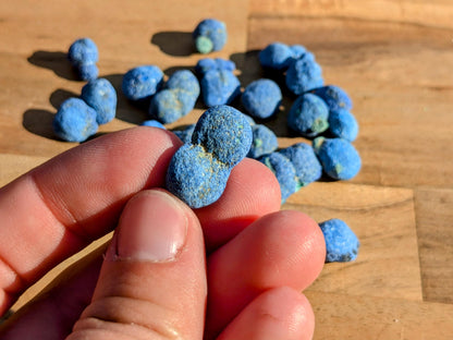 Rare Genuine Azurite Blueberries