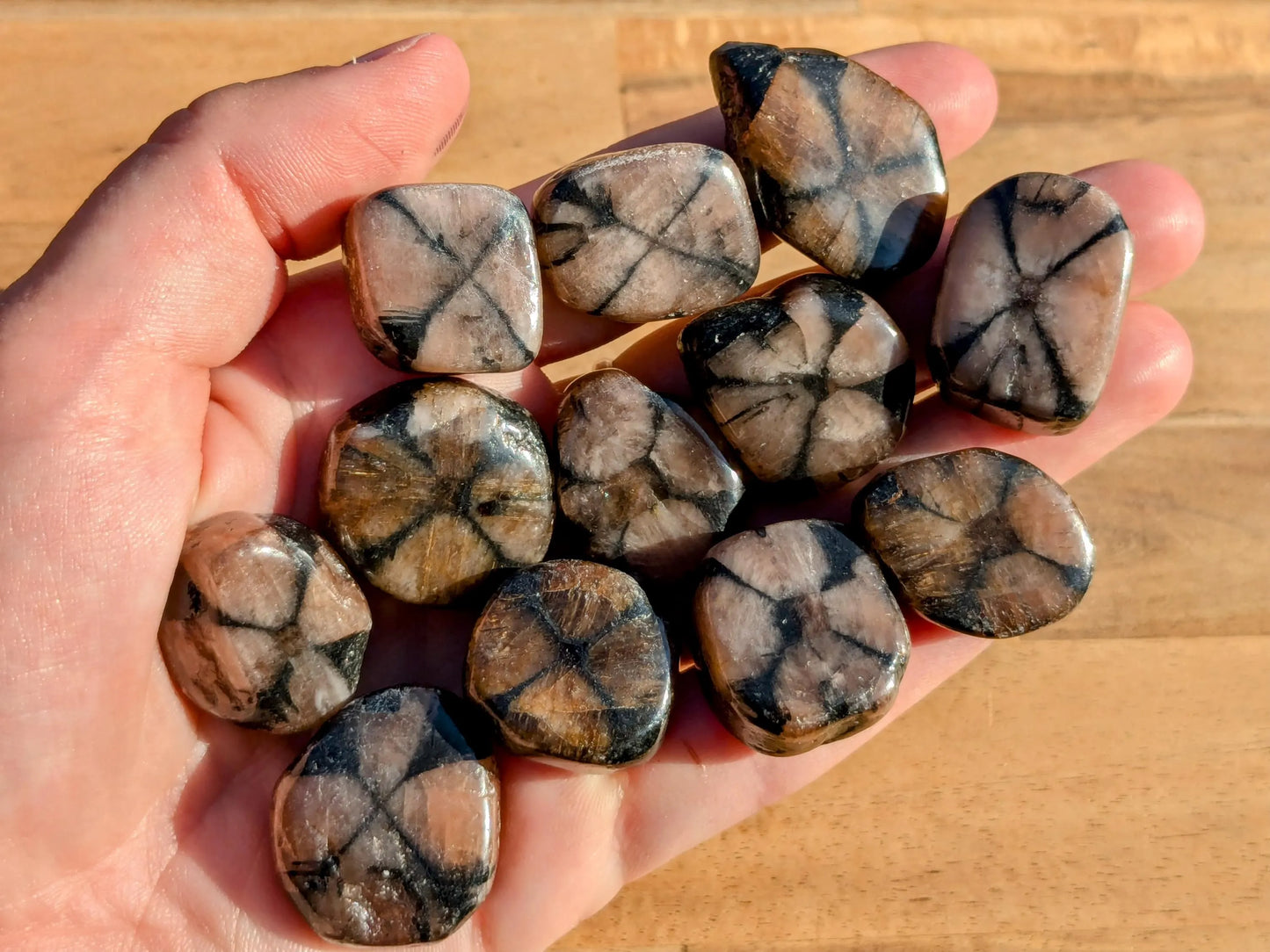 Chiastolite Tumbled Stones