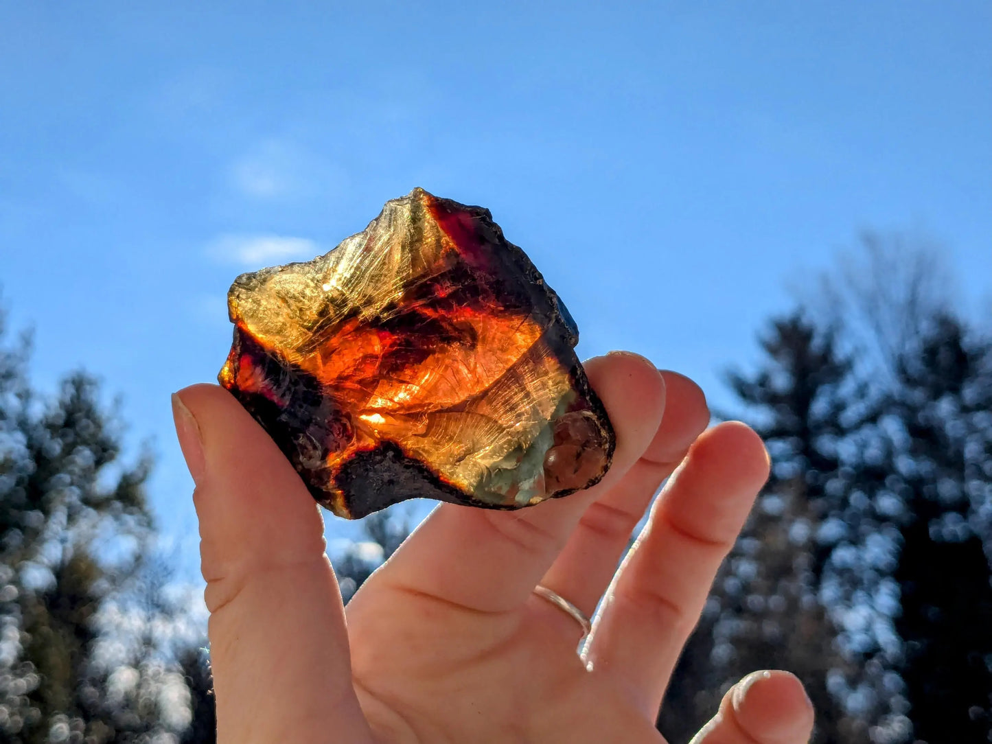 Rare Blue Amber Specimens