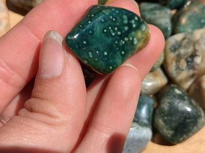 Ocean Jasper Tumbled Stone