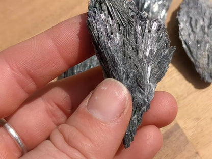 Black Kyanite Fans