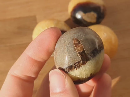 Septarian Pebbles