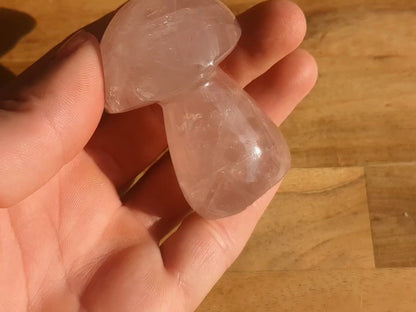 Rose Quartz Mushroom - OOAK