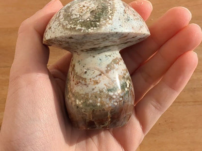 Ocean Jasper Mushroom - OOAK