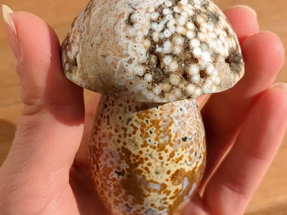 Ocean Jasper Mushroom - OOAK