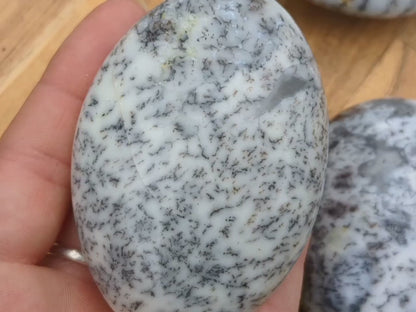Dendritic Opal Palm Stones