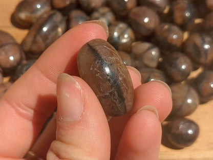 Chiastolite Tumbled Stones