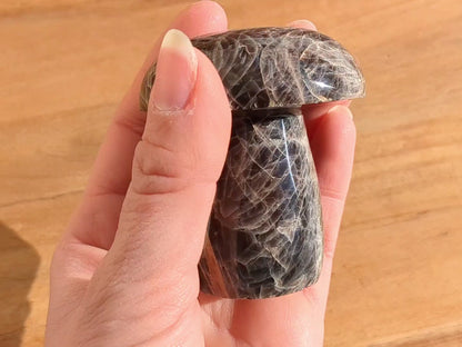 Black Moonstone Mushroom - OOAK