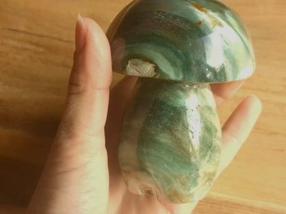 Ocean Jasper Mushroom - OOAK