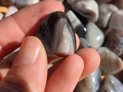 Bostwana Agate Tumbled Stones
