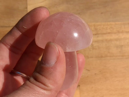 Rose Quartz Mushroom - OOAK