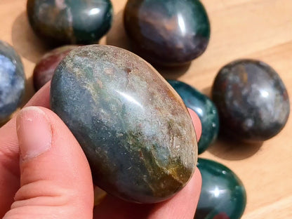 Ocean Jasper Palm Stones