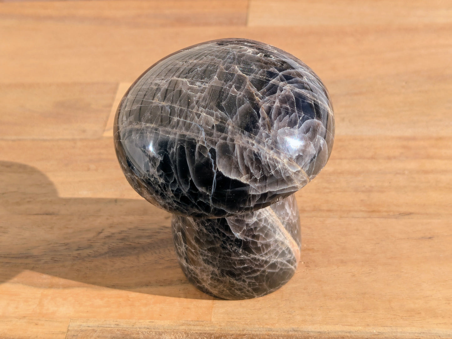 Black Moonstone Mushroom - OOAK