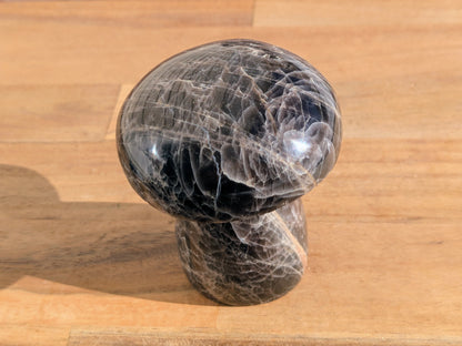 Black Moonstone Mushroom - OOAK