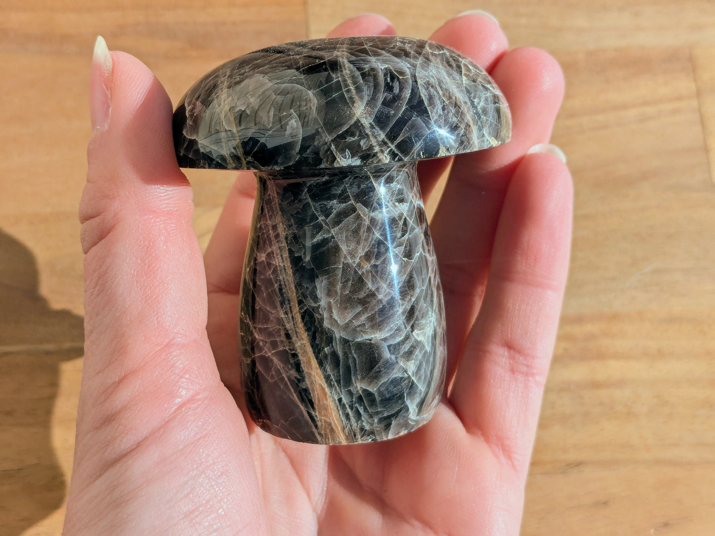 Black Moonstone Mushroom - OOAK