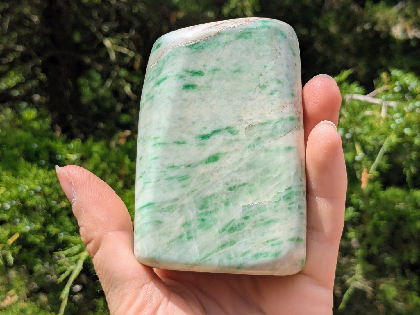 Rare Saussurite Free Form