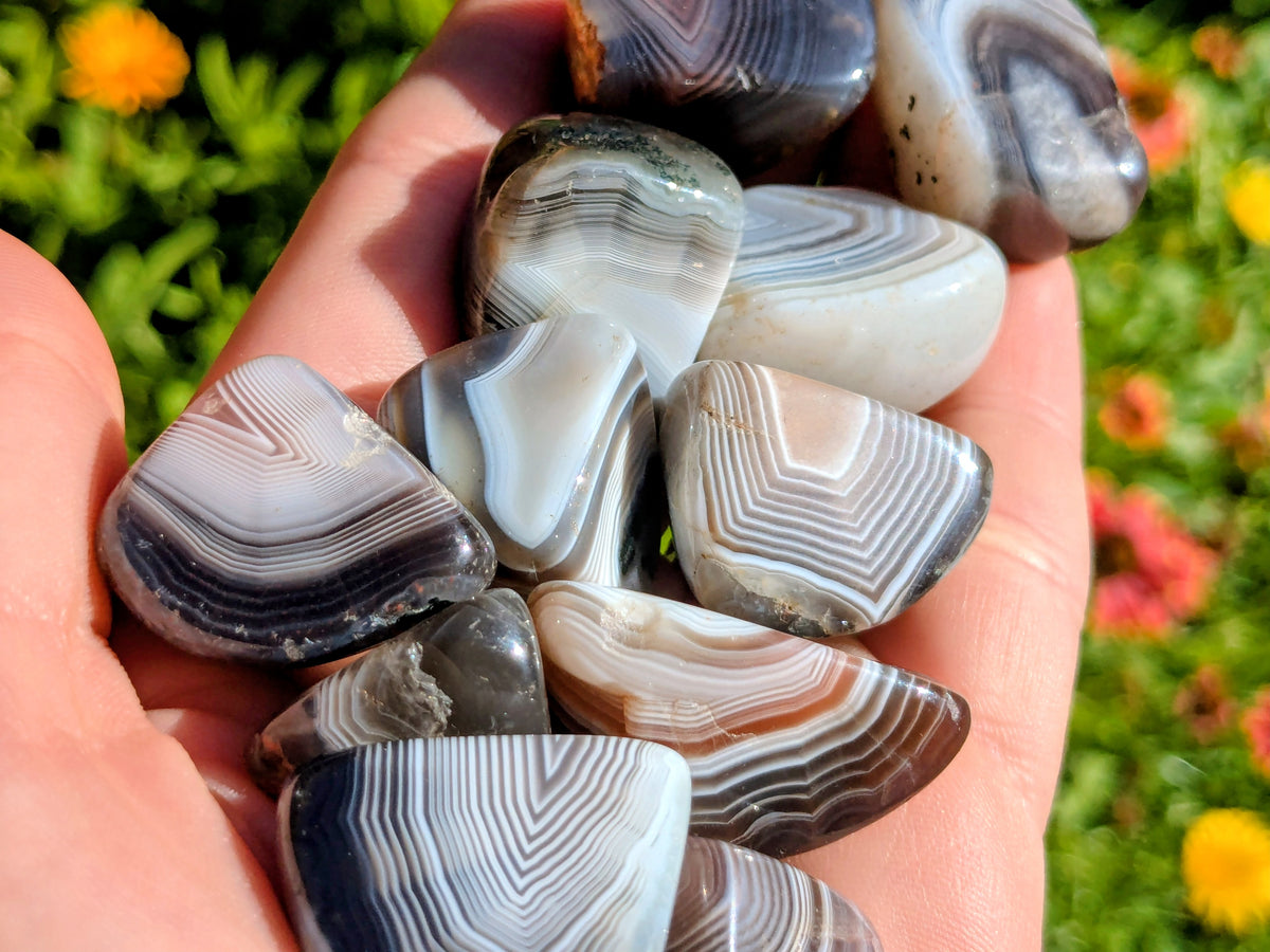 Bostwana Agate Tumbled Stones