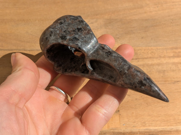 Yooperlite Raven Skull Carving - OOAK