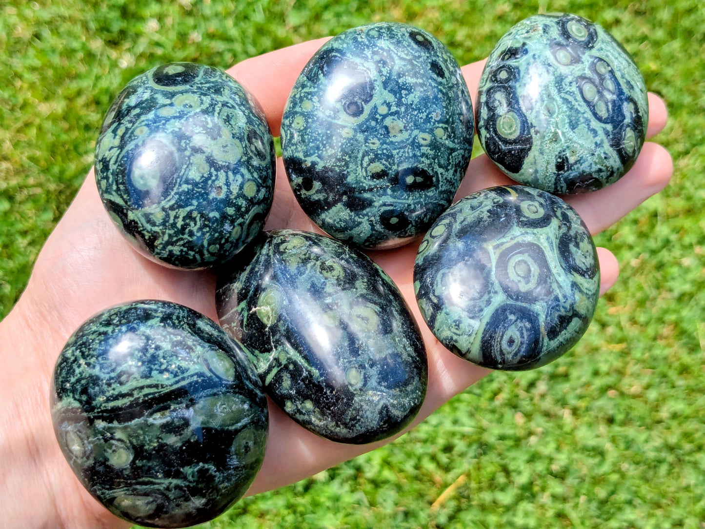 Kambaba Jasper Palm Stones