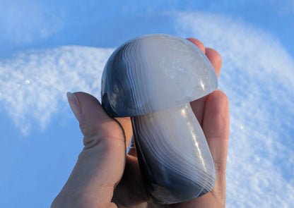 Banded Agate + Clear Quartz Mushroom