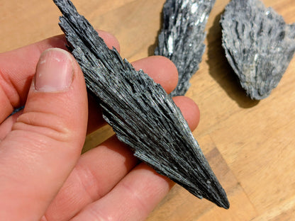 Black Kyanite Fans