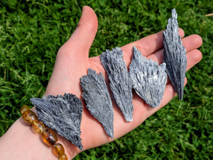 Black Kyanite Fans