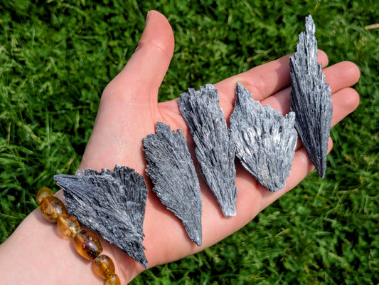 Black Kyanite Fans