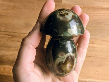 Unique Polychrome Jasper Mushroom - OOAK