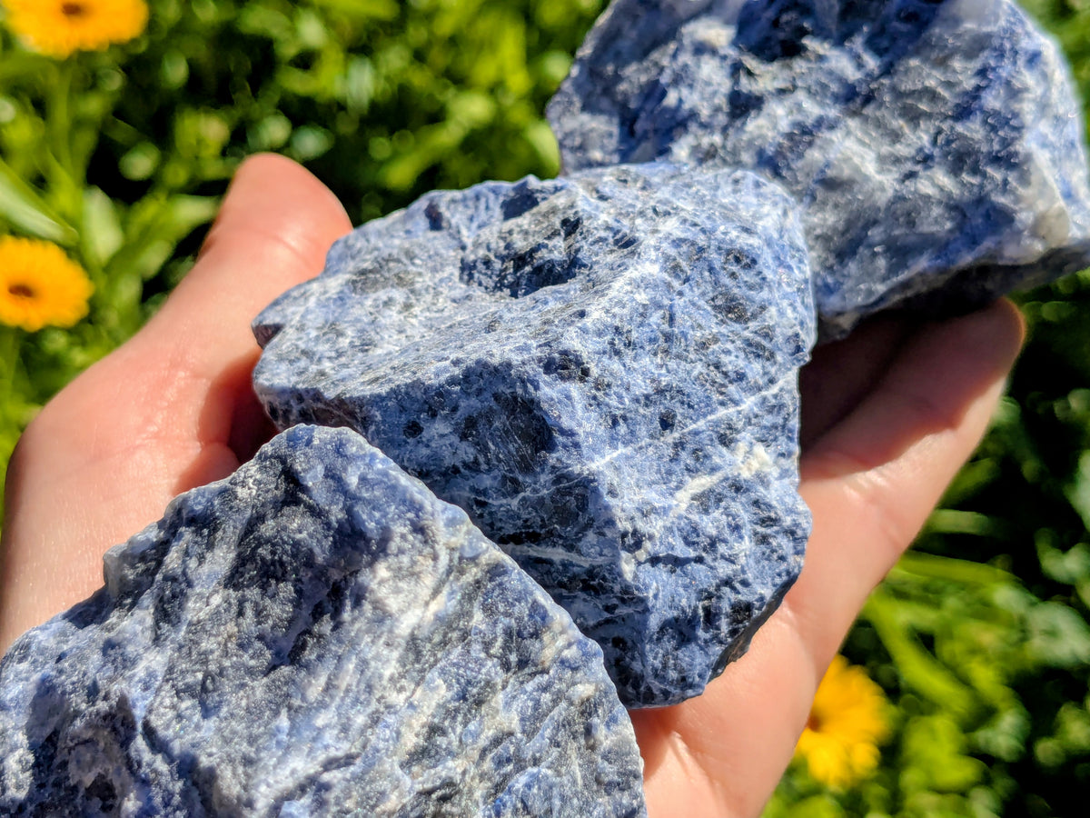 Sodalite Raw Pieces