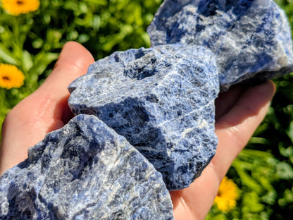 Sodalite Raw Pieces