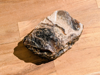 Rare Blue Amber Specimen - OOAK