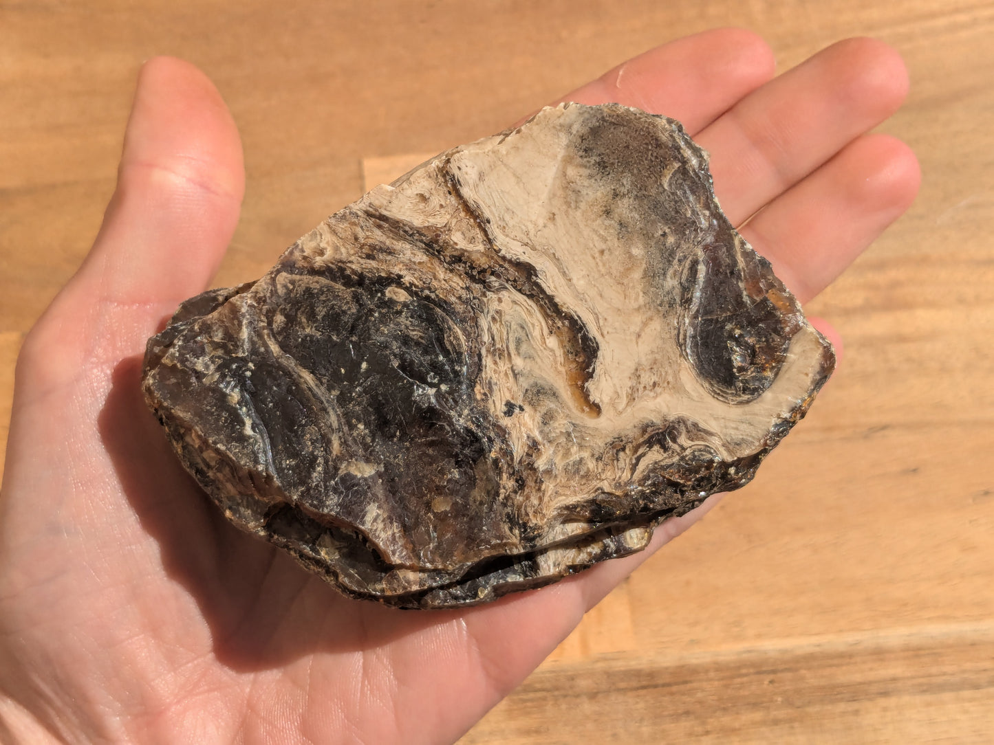 Rare Blue Amber Specimen - OOAK