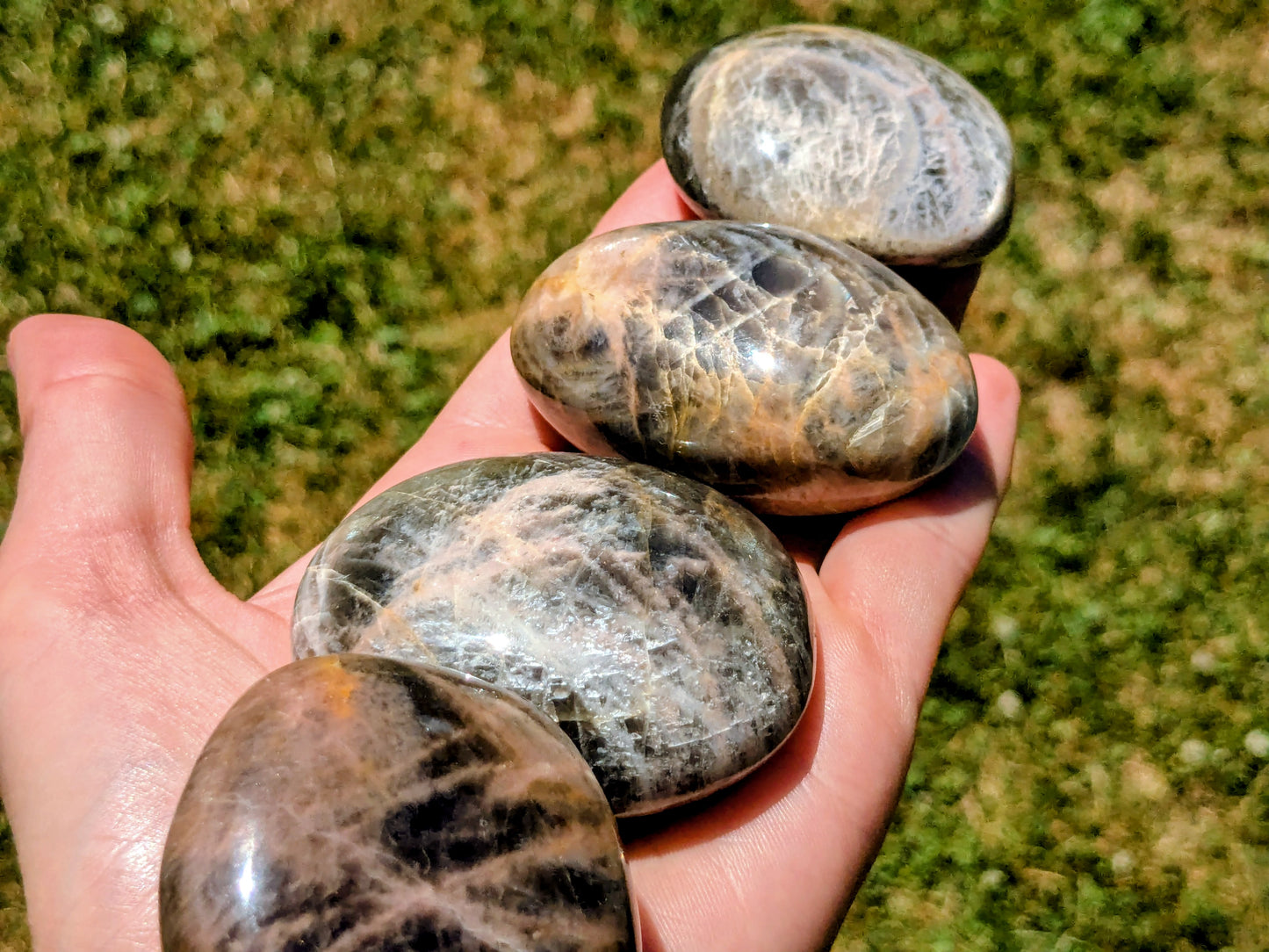 Black Moonstone Palm Stones