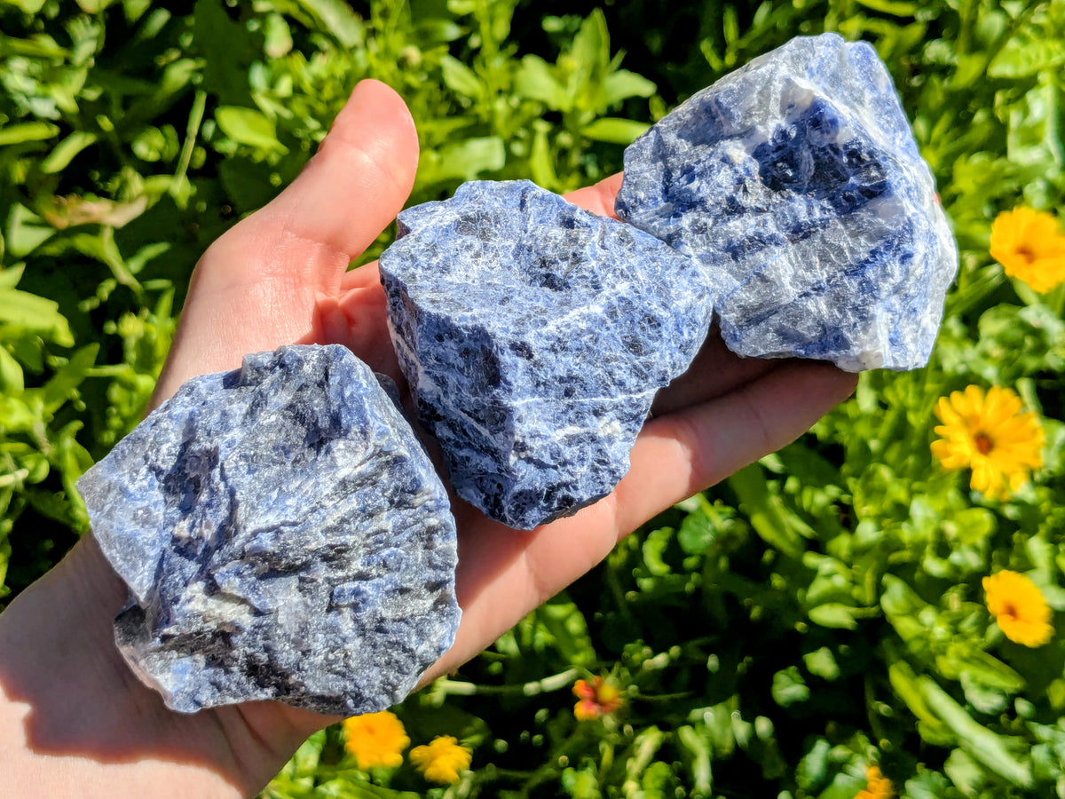 Sodalite Raw Pieces