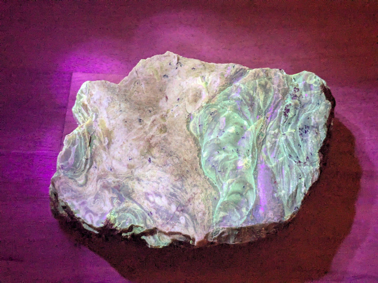 Rare Blue Amber Specimen - OOAK