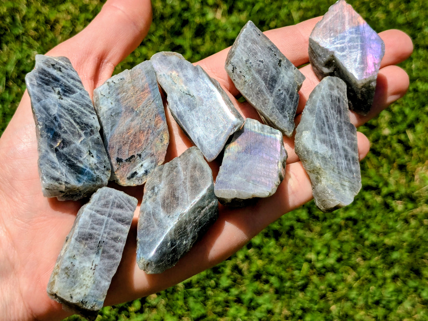 Sunset Labradorite Slices