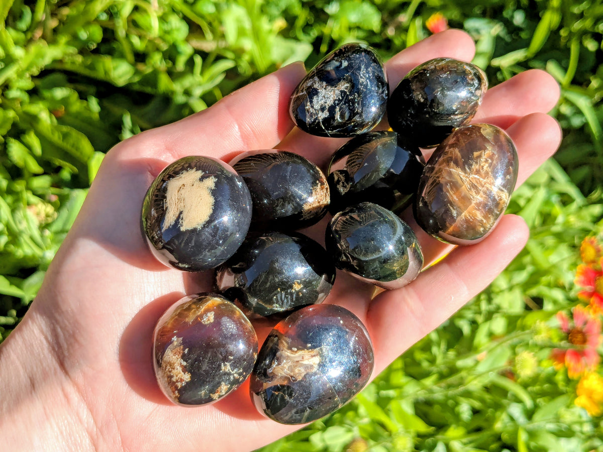 Blue Amber Jumbo Tumbled Stones